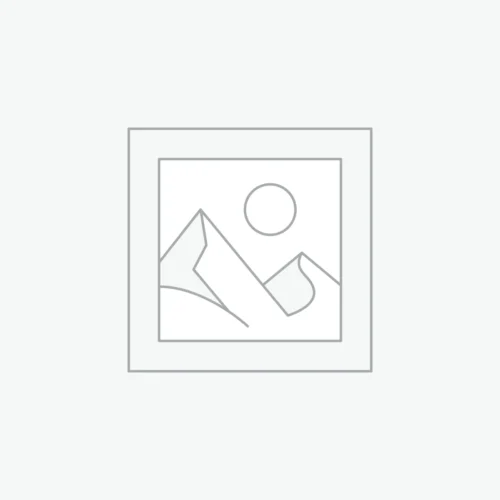 AMD Radeon RX 5500 XT